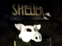 シェルター　　=TAKESHI=